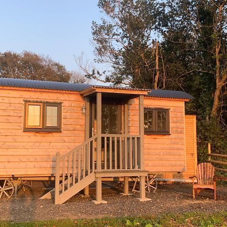 Lle Mary - Beautiful Views, Hot Tub, Secluded, Dog Welcome, Barmouth Llanddwywe Экстерьер фото