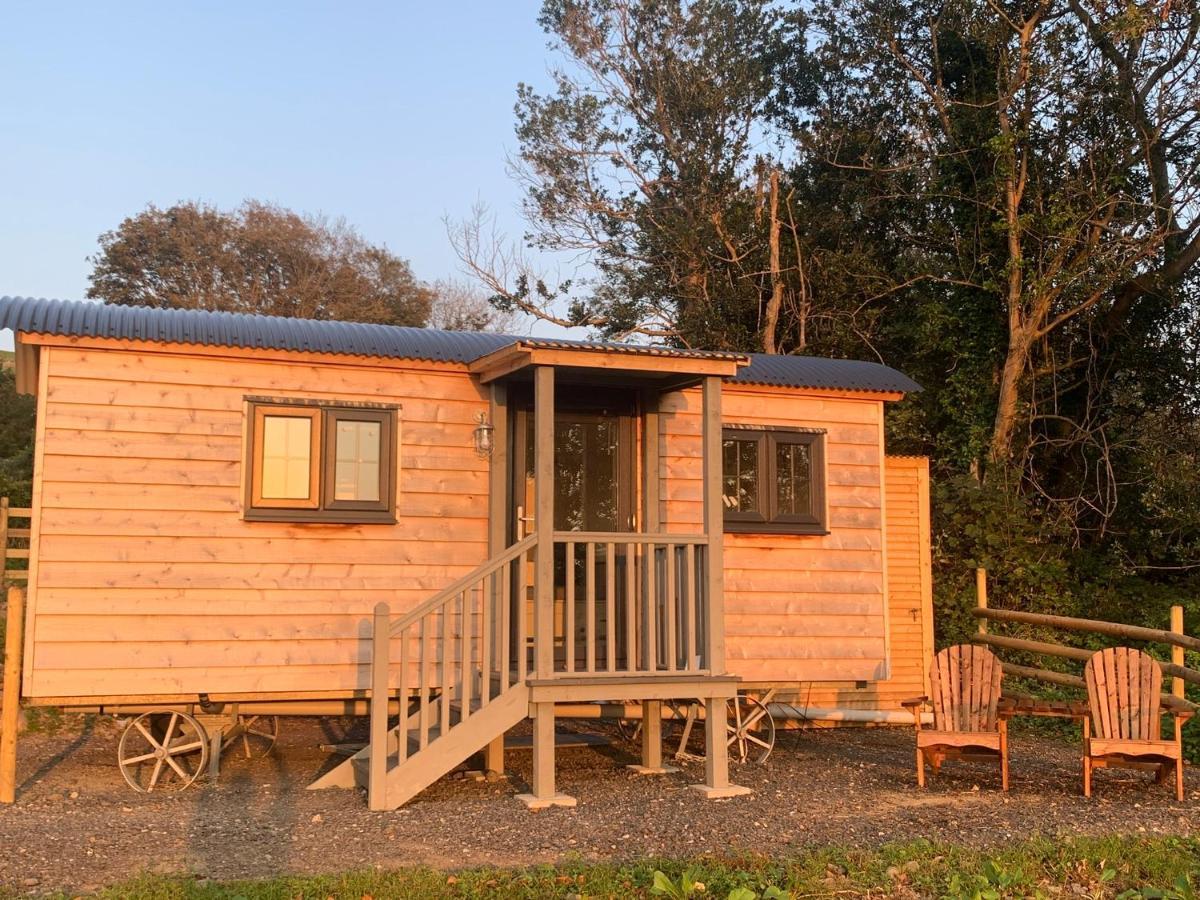 Lle Mary - Beautiful Views, Hot Tub, Secluded, Dog Welcome, Barmouth Llanddwywe Экстерьер фото