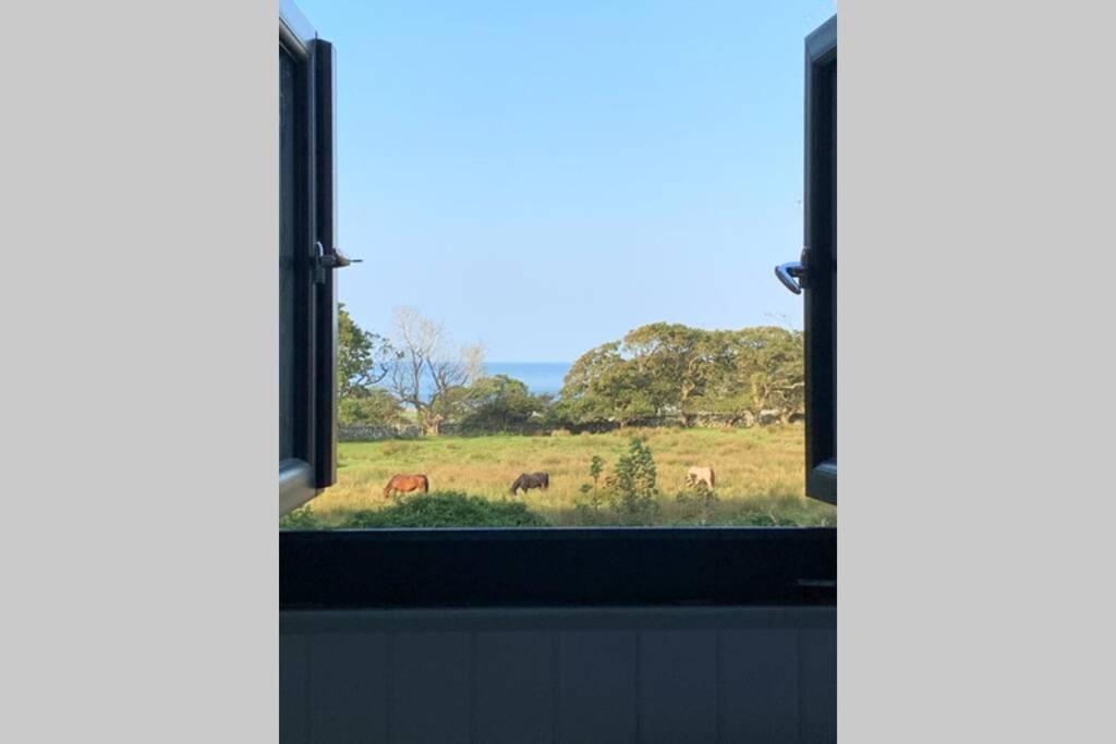 Lle Mary - Beautiful Views, Hot Tub, Secluded, Dog Welcome, Barmouth Llanddwywe Экстерьер фото